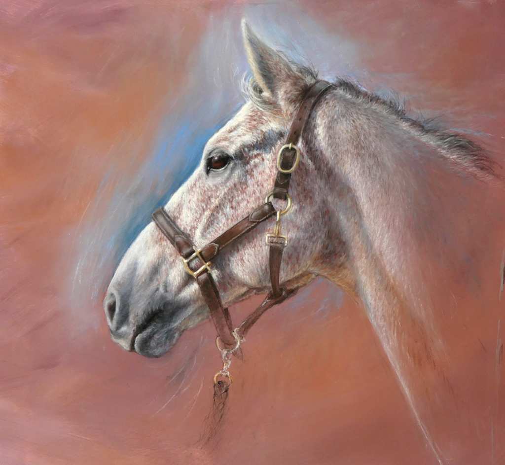 Horse portrait in soft pastel, on a light brown background.