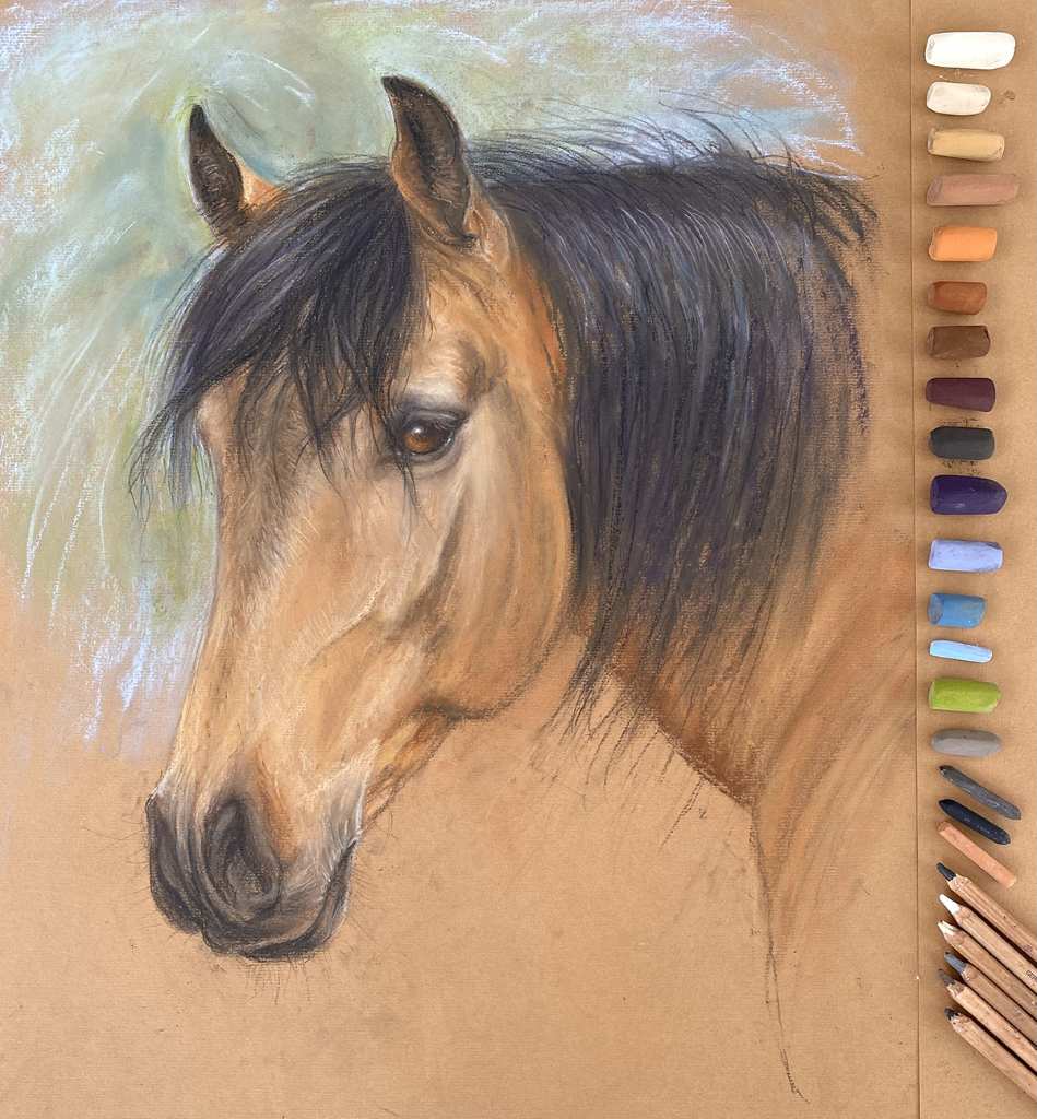 Video workshop portrait of a buckskin horse