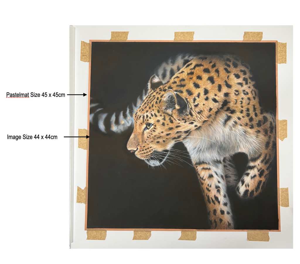 Showing the measurements.