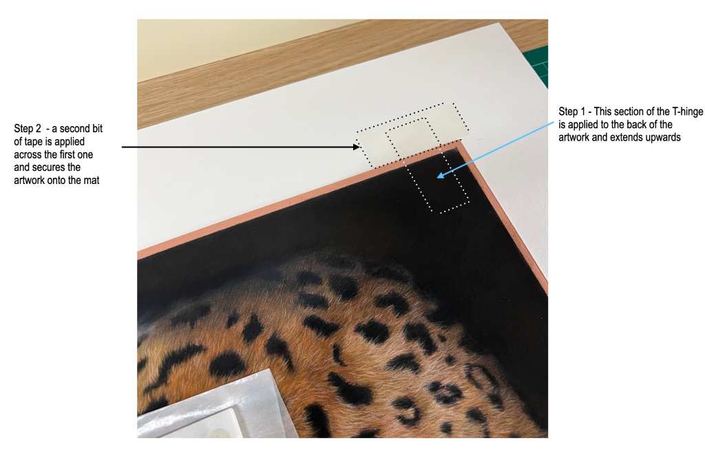 T hinge close up 6 tricia findlay