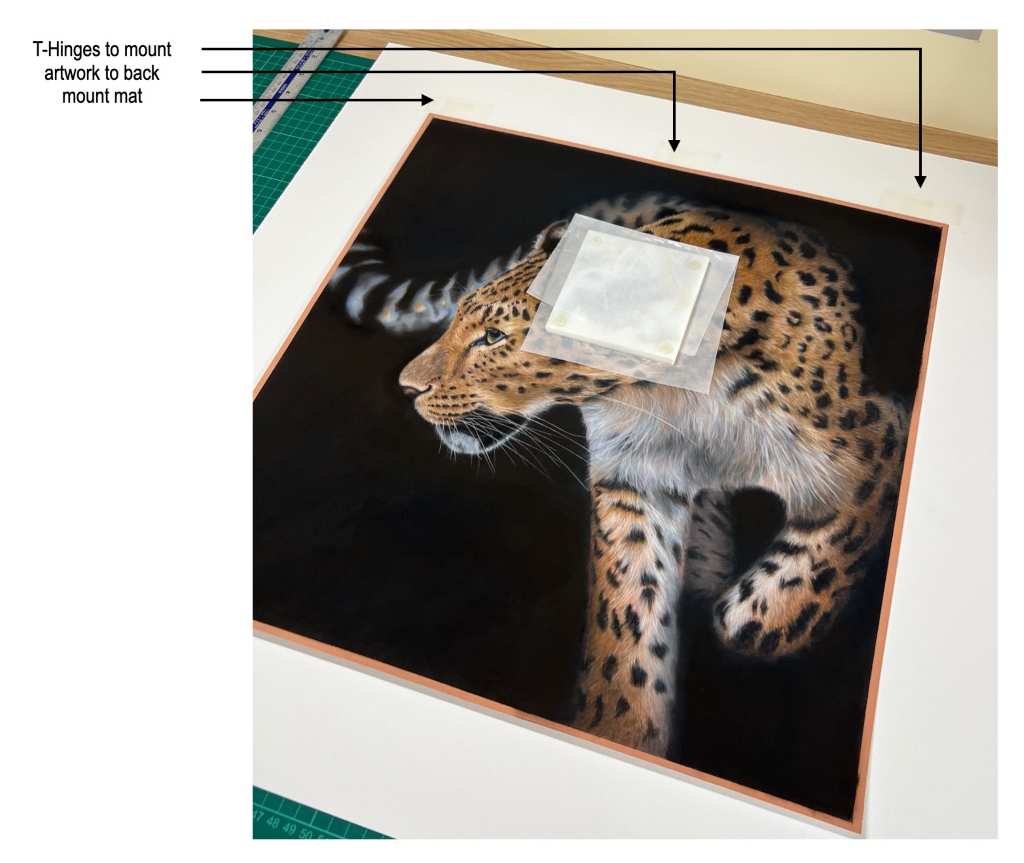 Showing the T hinges.