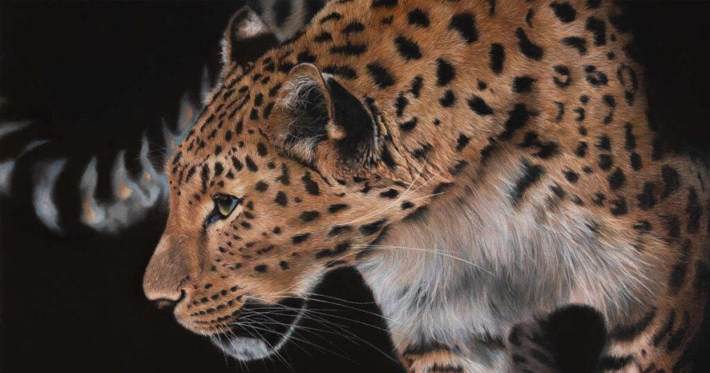 Read Tips and tricks for framing original pastel artworks by Tricia Findlay