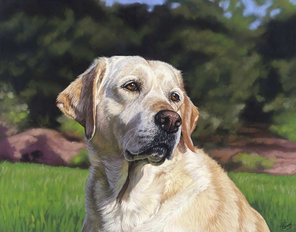 Soft pastel painting of a golden Labrador named Betty, sitting in the garden, bathing in the afternoon sun, by Emma Colbert