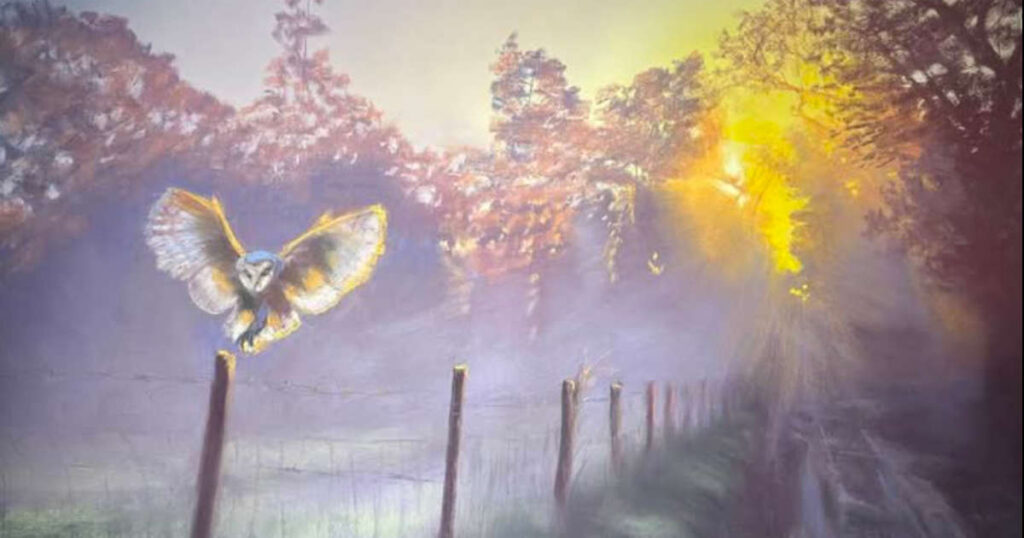 Eye catchers june 2025 by gareth jones feat