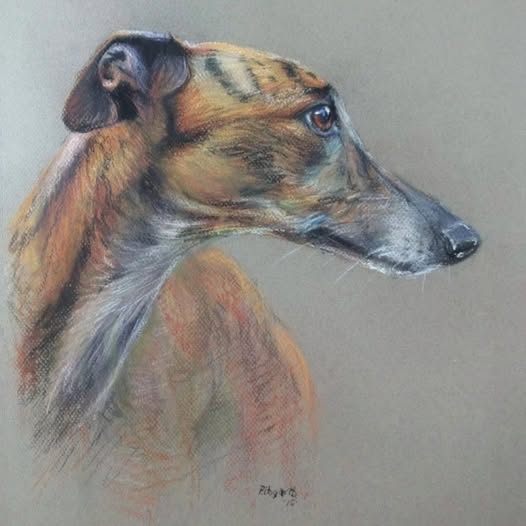 Portrait of a Lurcher by Peter Hogarth