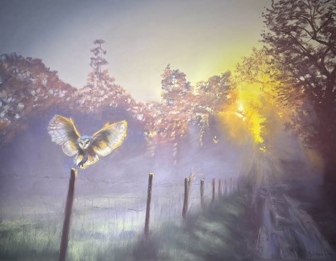 Soft Landing by Shawn Dell Joyce