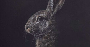 The featured image for Meral's blog.