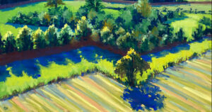 The intro image to Cathy's blog.