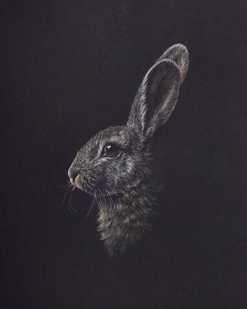 The rabbit by liz buckley
