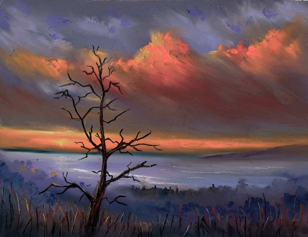 Transience by Stephen Fuller