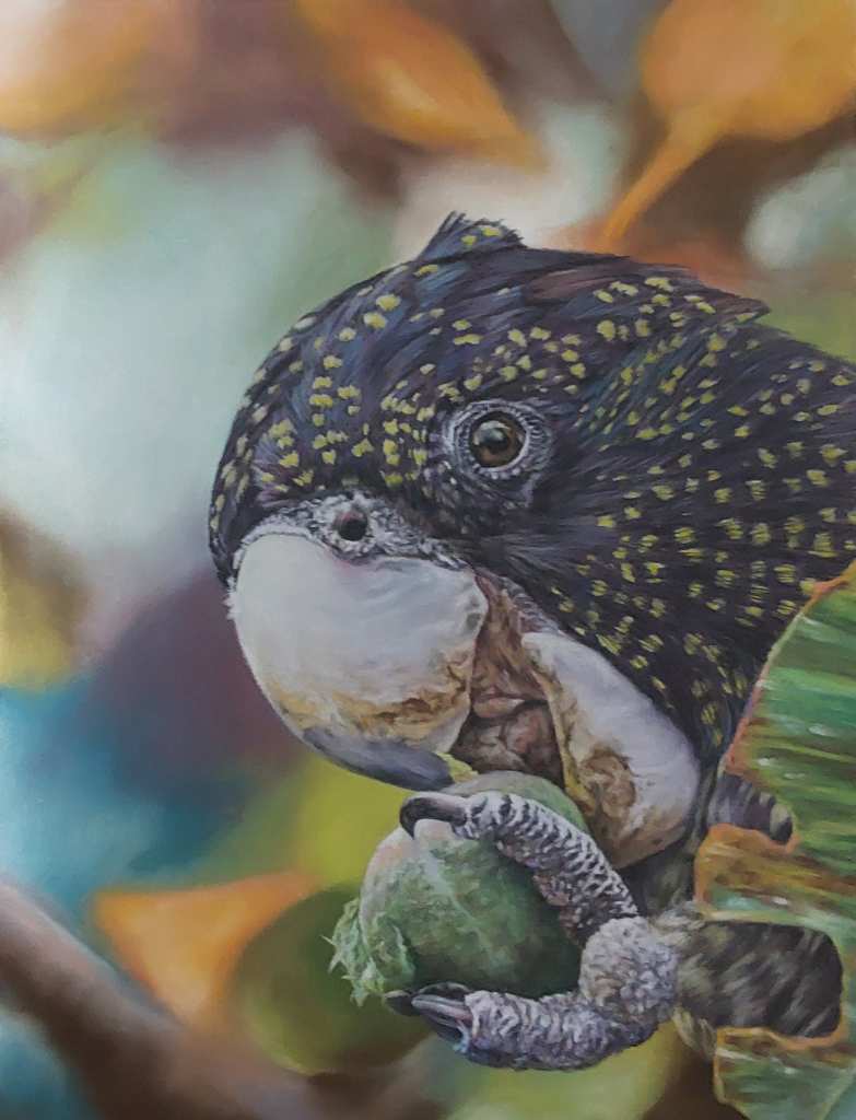 Soft pastel painting of a cockatoo gnawing at a nut.