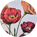 Debbie D. profile picture