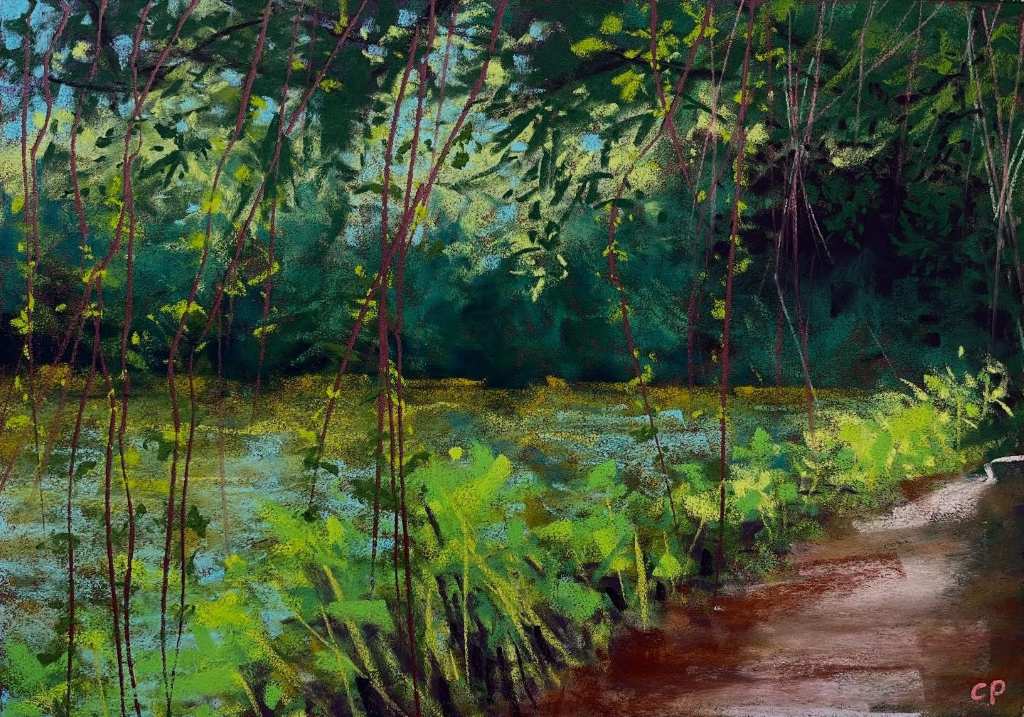 Cathy pearce 1 eye catchers nov