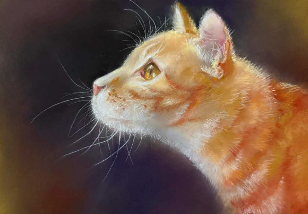 Inna siroshtan eye catchers nov