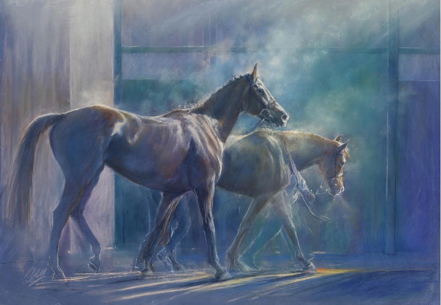 Shadows and steam rebecca