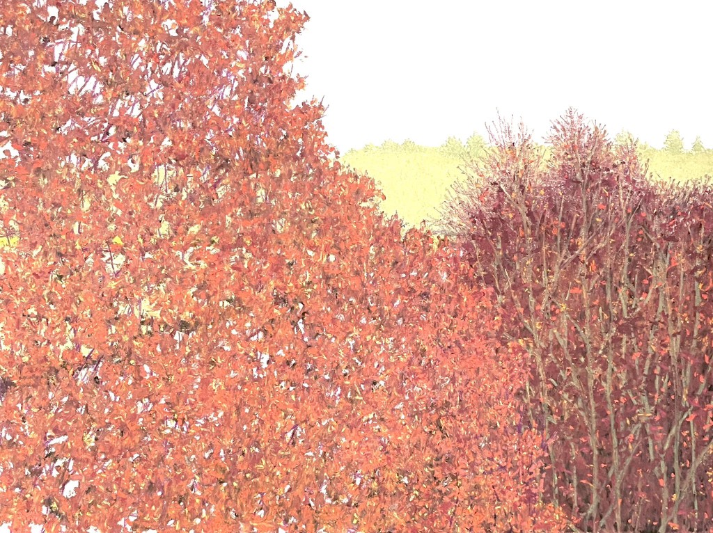 A quiet season by Tim Blackwell.