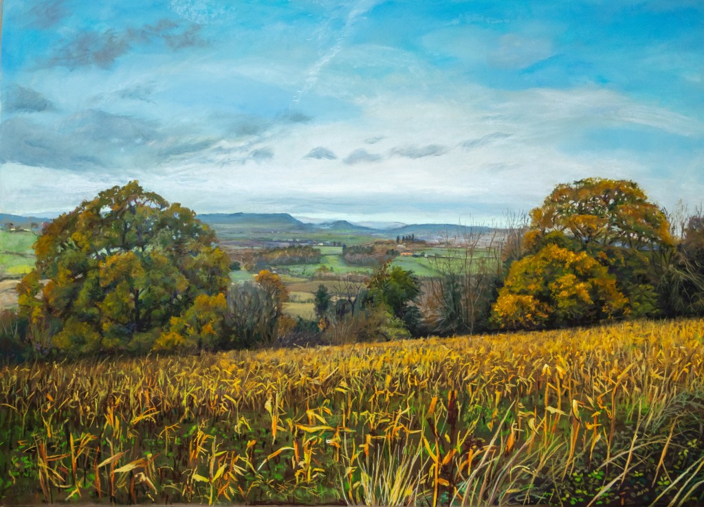 A view from our favorite walk by bridget derc