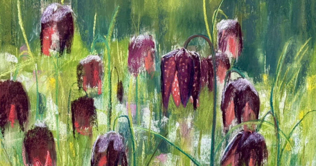 Eye catchers february 2026 with lyn asselta feat