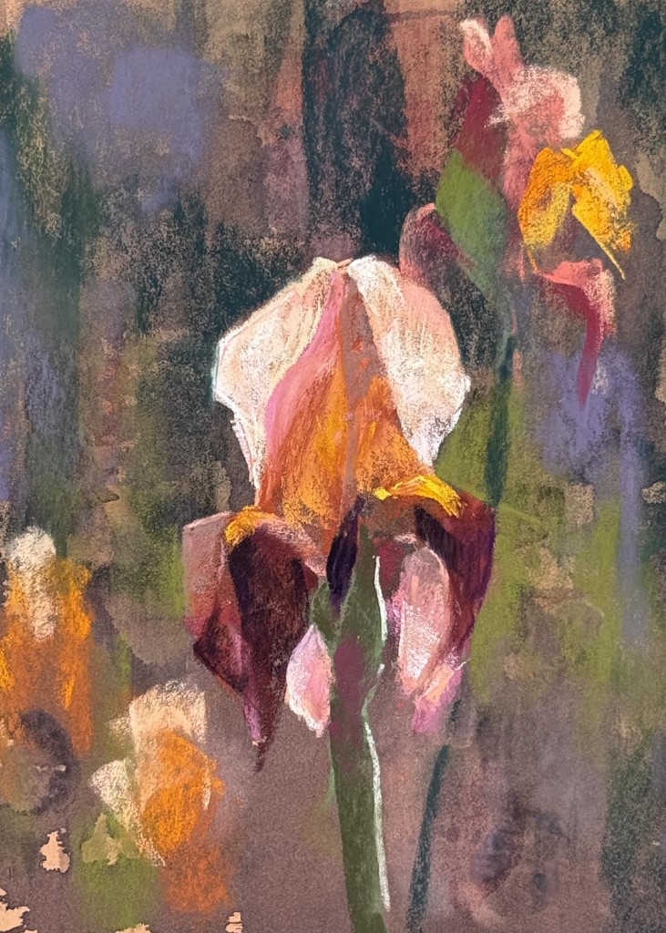 Iris study by dave flitcroft