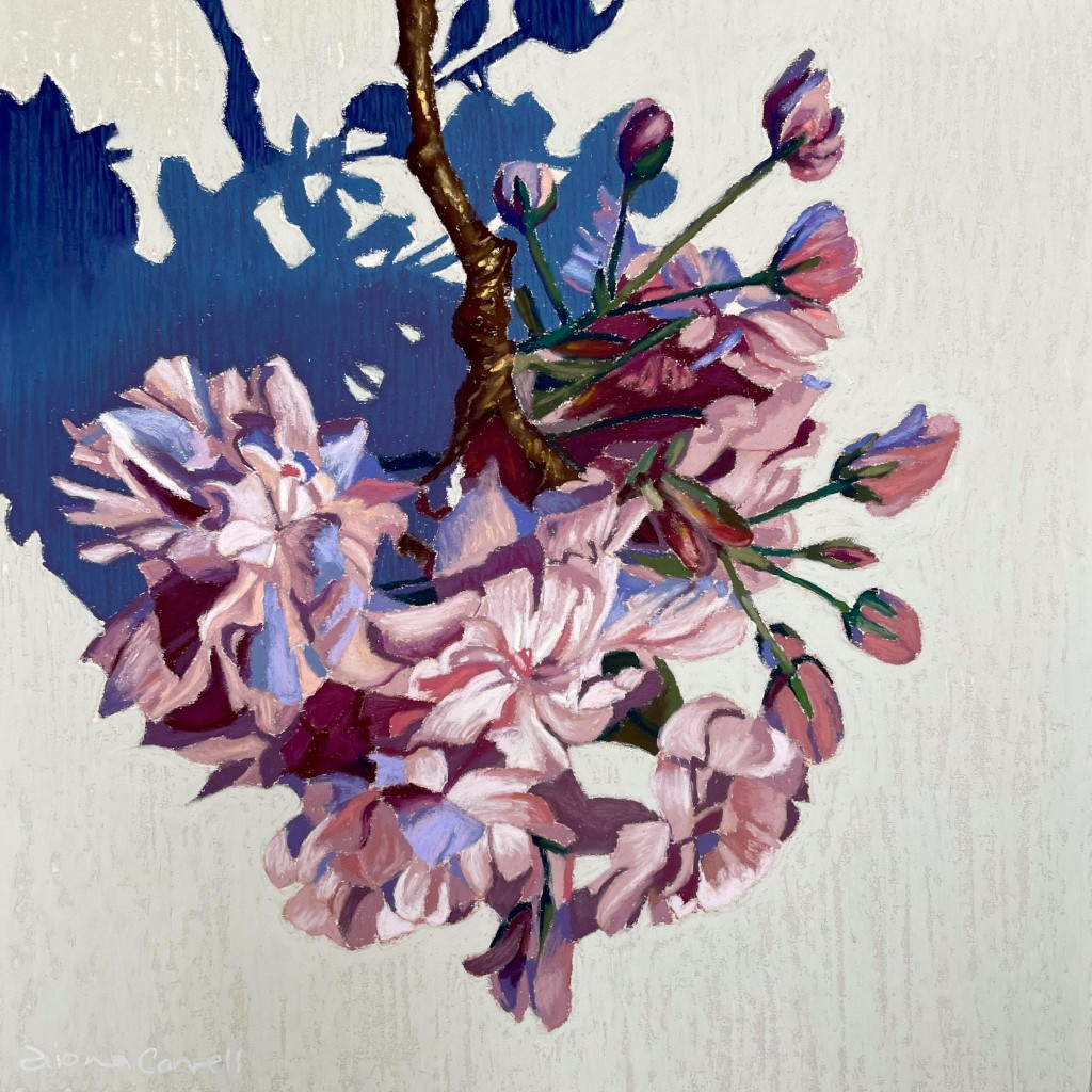 Bloom by fiona carvell