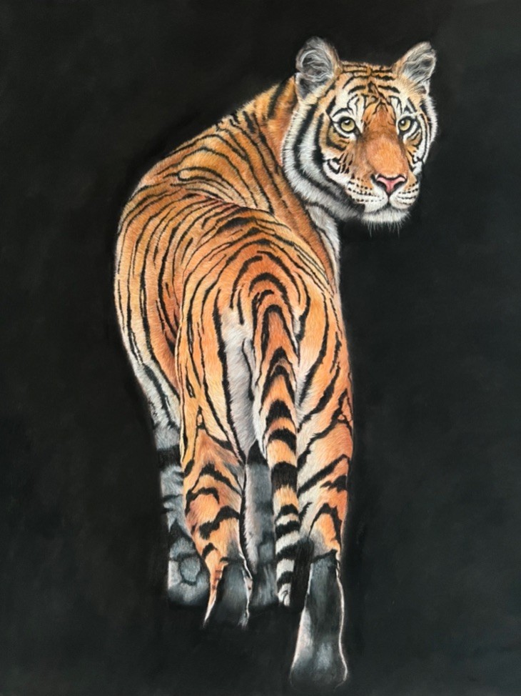 Finished tiger image 5 tricia findlay