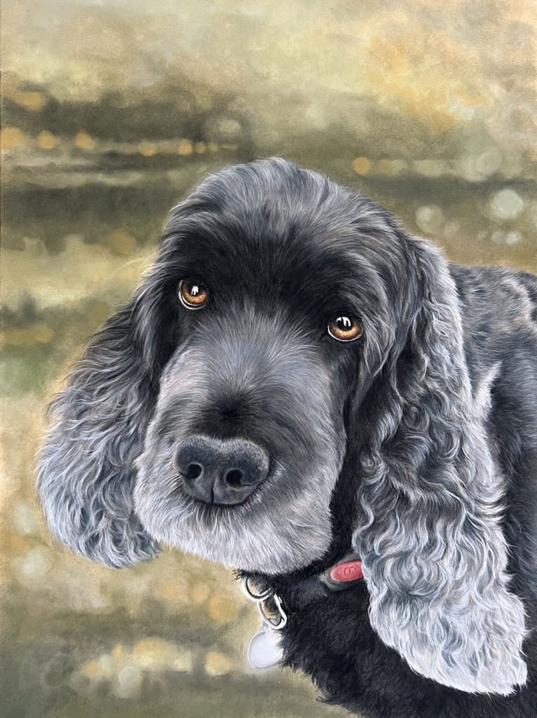 Olly finished portrait image 3 tricia findlay