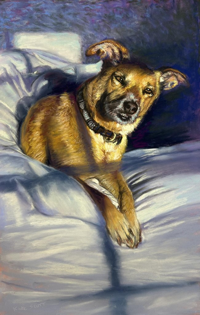Sunlight sweetheart by kate scott