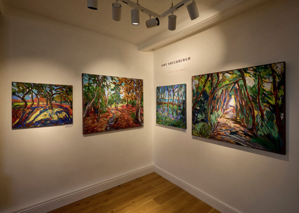 Where we meet exhibition amy shuckburgh